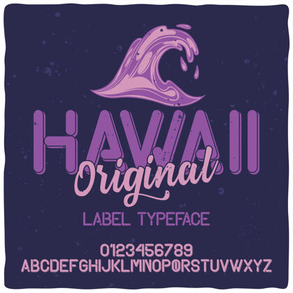 乐趣复古字母字体命名夏威夷脚本字母海洋