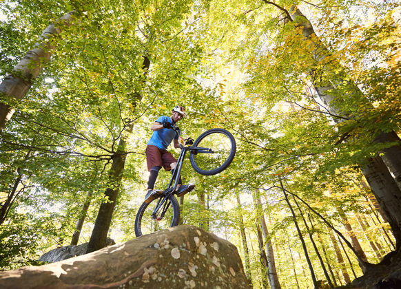 树在日落时分 职业自行车手在试骑自行车上保持平衡Bmx岩石杂技演员