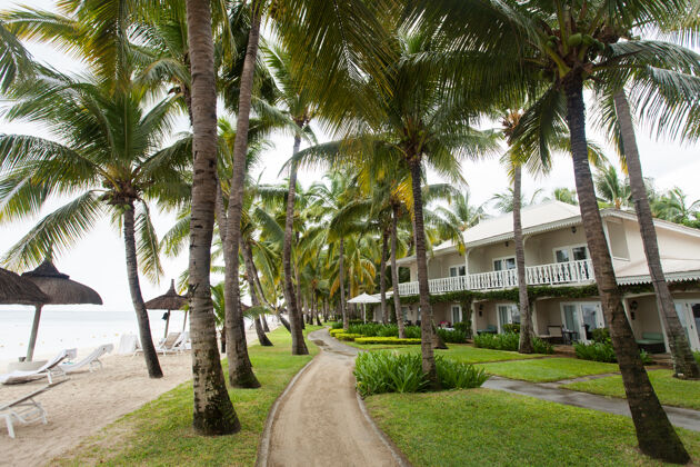 路径毛里求斯的豪宅 有绿色的草坪和棕榈树绿色外观棕榈