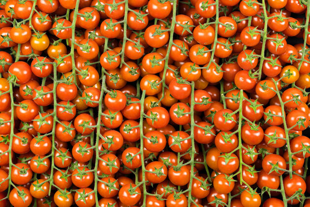购买顶视图可见许多绿色西红柿的樱桃枝品种 色泽红润超市 混合番茄樱桃