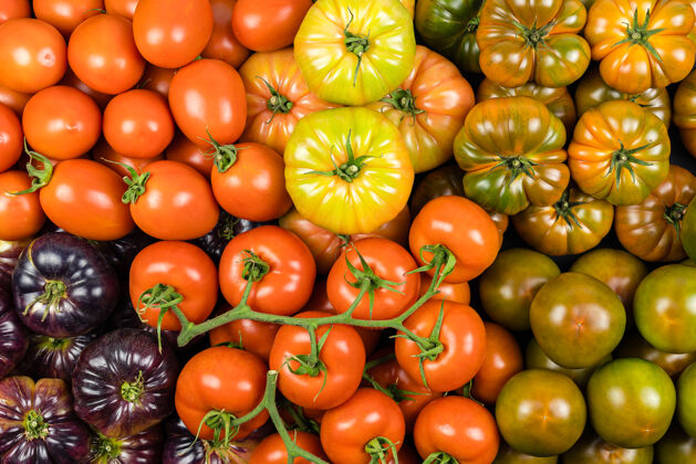 混合顶视图多种西红柿 健康食品 超市营养形状五颜六色