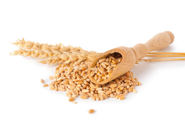 面筋舀上白底小麦粒饮食产品食物