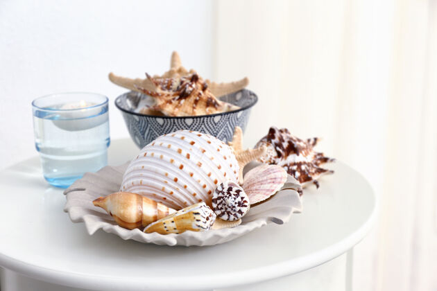 动物不同的贝壳放在浅色的桌子上房子室内美丽