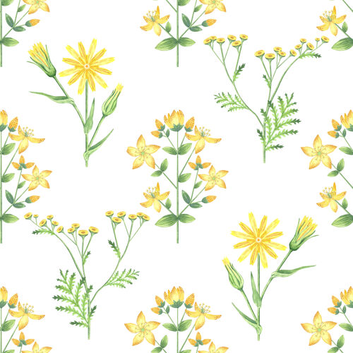 春天黄色花朵的无缝图案花卉洋甘菊花卉