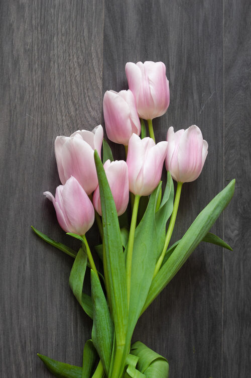 美丽美丽的郁金香花束在灰色背景上束新鲜春天