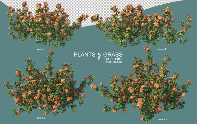 三维渲染草和灌木排列的三维渲染树叶草植物