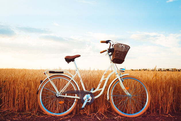 自行车车轮乡村夕阳下的时尚自行车平静自行车美丽