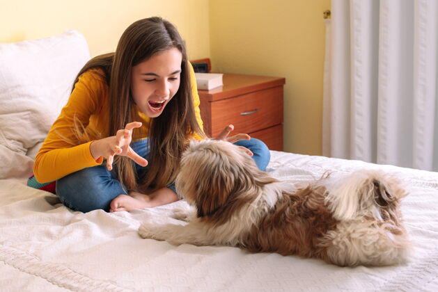 爱年轻女人和她的宠物狗在床上玩宠物快乐纯种