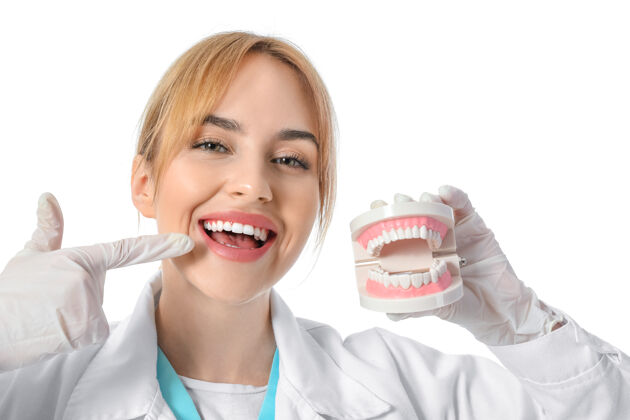 牙科白色表面塑料下巴模型的女牙医治疗肖像工作