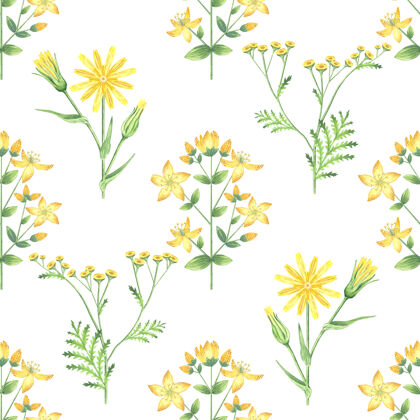 春天黄色花朵的无缝图案花卉洋甘菊花卉