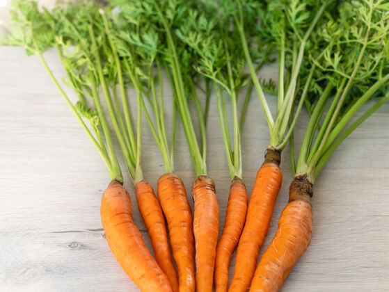 素食者只有花园里的新鲜胡萝卜浅表面有绿色茎的橙色胡萝卜开胃的健康蔬菜美味新鲜木材