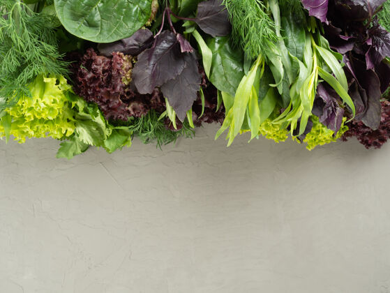 素食主义者不同的食用鲜绿色 草本植物占据半个框架上的灰色背景 复制空间菠菜市场食用