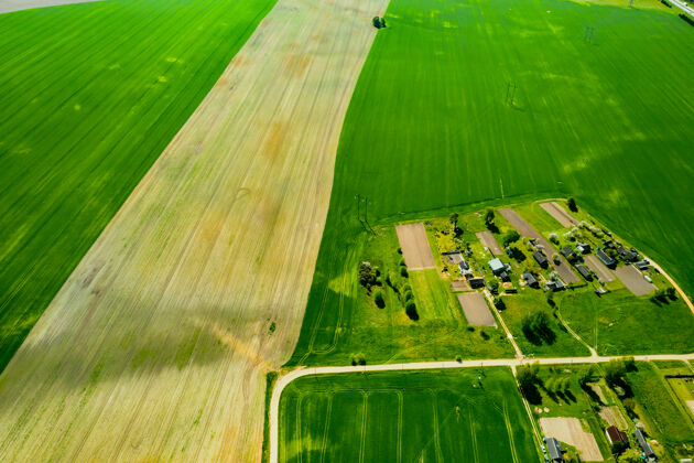 园艺白俄罗斯一片播种的绿地和一个小村庄的俯视图西部的农田村庄.春天在一个小村庄播种土地自然春天
