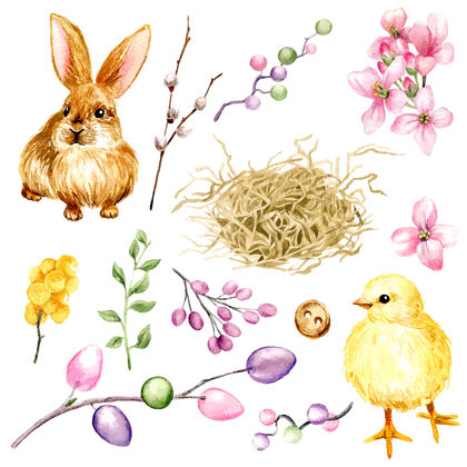 兔子复活节剪贴画与鸡蛋插画设计集五颜六色花卉小鸡