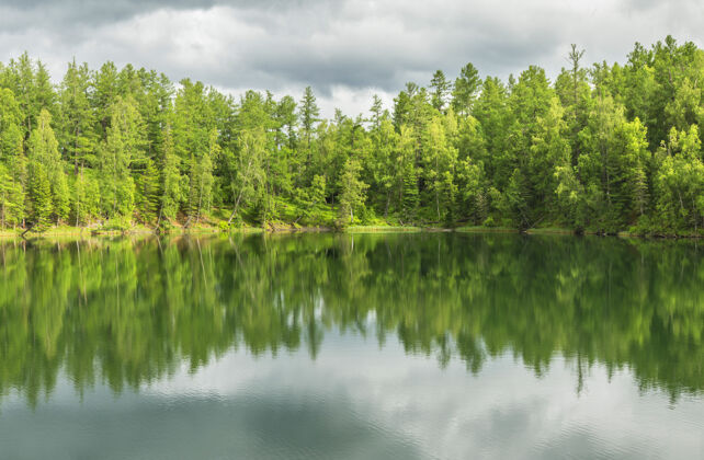 森林美丽倒影的森林湖池塘云景风景