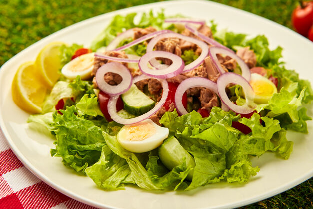 吃金枪鱼沙拉配生菜 樱桃番茄 黄瓜和洋葱在绿草上生活健康洋葱