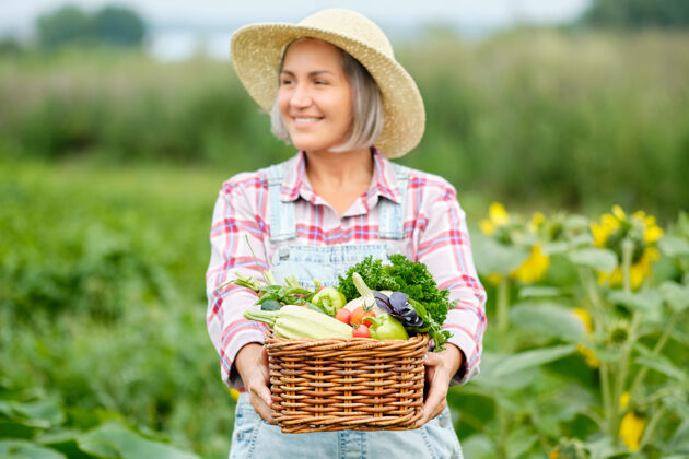 维生素女人手里拿着一篮子丰收的有机蔬菜和根上的有机生物农场.秋天蔬菜收获板条箱营养农场