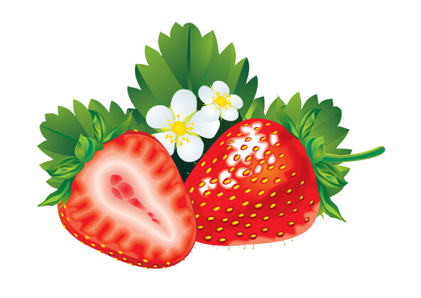 甜点新鲜的红色草莓 叶子是白色的美味新鲜甜食