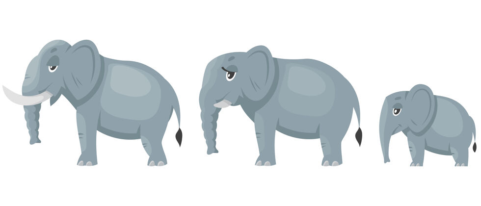 性格大象家庭侧视图 白色隔离大象孩子动物