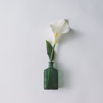 夏天绿色玻璃瓶中的白色马蹄莲花玻璃五颜六色花瓶