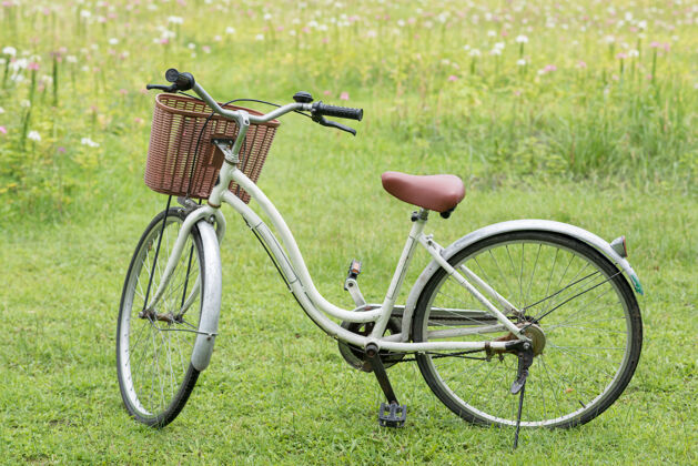 轮子公园里停着自行车 映衬着草地上盛开的粉色花朵春季休闲活动骑自行车看花圃树租赁交通工具