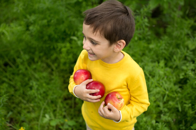 水果可爱的小男孩在阳光明媚的草地上摘苹果白天健康营养公园食物幼儿