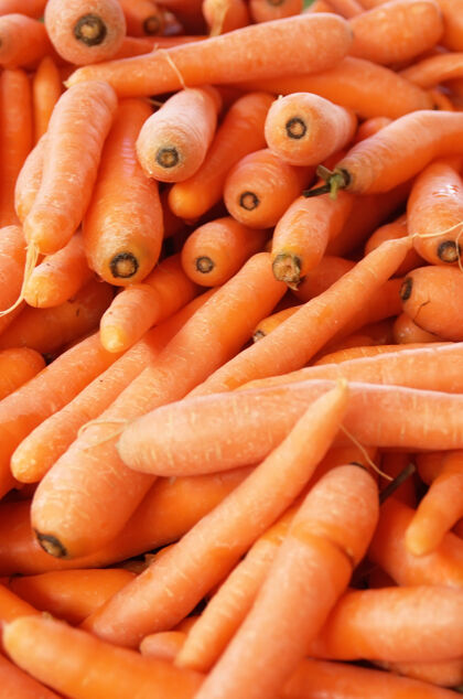 胡萝卜很多成熟漂亮的胡萝卜根健康堆