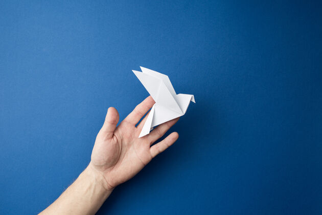 传统折纸鸽在人的手上呈蓝色孤立墙.世界和平日概念工艺翅膀自由