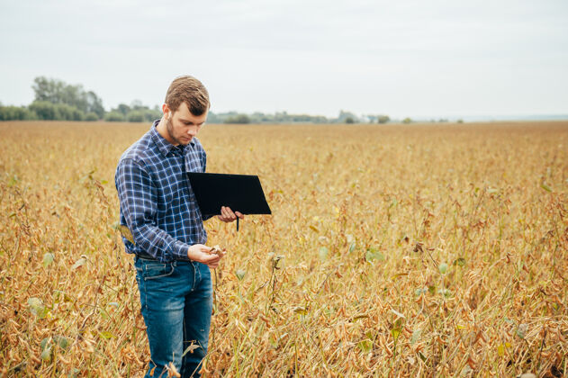 人英俊的农学家在玉米地里手持平板触摸屏电脑 在收割前检查庄稼平板电脑互联网工程