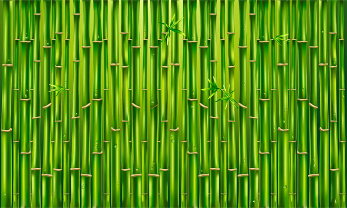 花卉绿色竹篱笆 纹理背景 竹全景竹子背景绿色