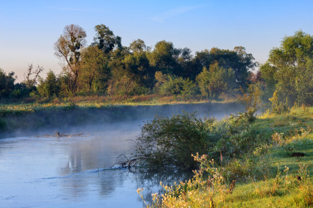 多云夏天日出时水面上的雾早上好河风景树风景自然