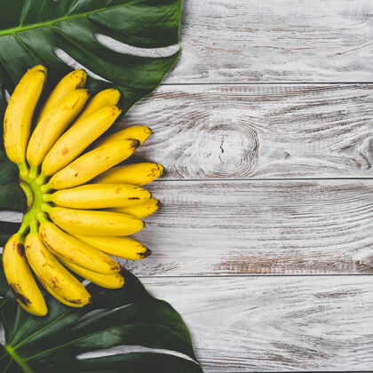 小吃生的有机黄色婴儿香蕉在白色木制桌面上看到一串水果迷你吃