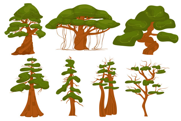 绘画不同类型的树根据叶子的密度隔离在白色背景上模板根清洁