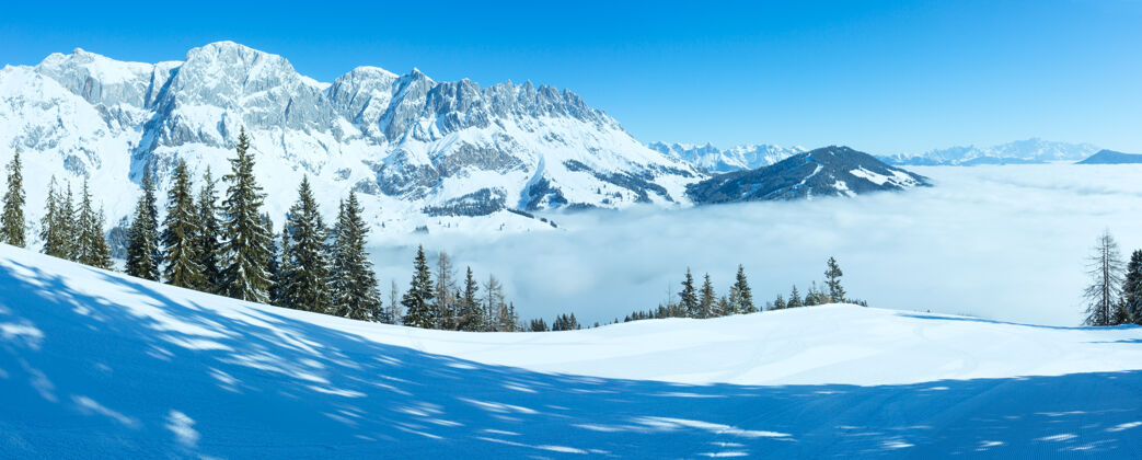 雾晨冬山景 山谷下有云（奥地利霍奇科尼格地区）山雪冷杉