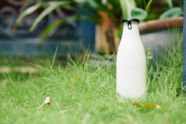 美味在顾客家门前的绿色草坪上 送满一瓶新鲜牛奶或酸奶瓶子乳制品户外