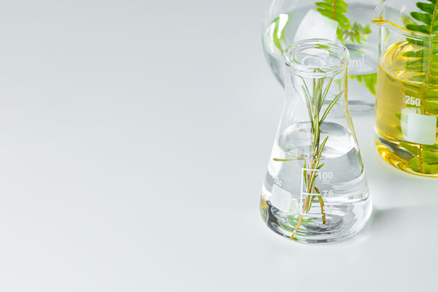 乳霜白色玻璃器皿上的植物背景.护肤品产品和药物化学研究概念洗液香精实验室