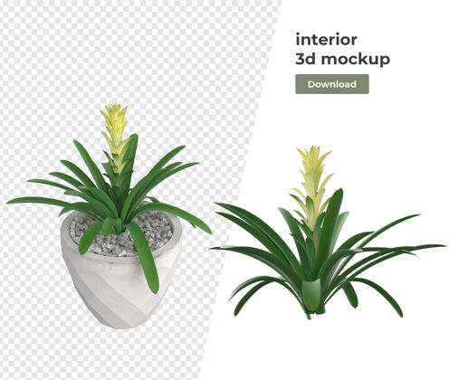 植物各种植物装饰3d渲染隔离盆栽装饰花盆