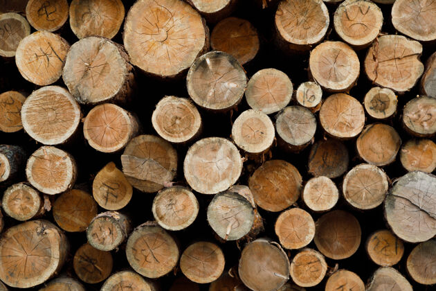 树皮一堆木头原木.森林登录站点切割能源植物