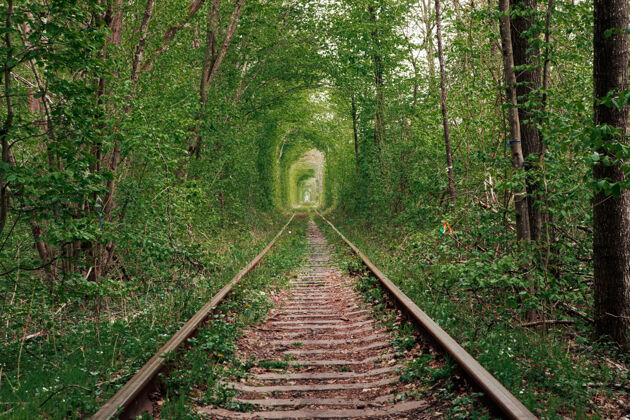 浪漫春林隧道里的一条铁路隧道透视铁路
