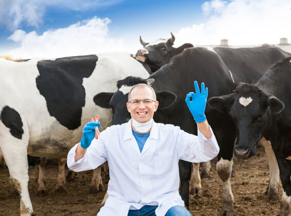 检查兽医在试管里做的测试显示农场奶牛的姿势正常动物工作样品