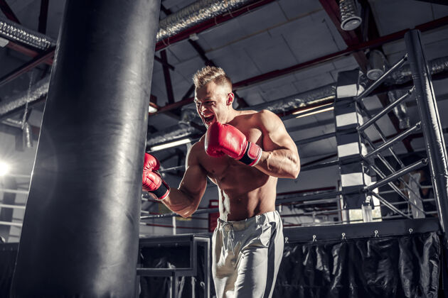 身体拳击手在健身房用拳击袋训练运动员拳击手跆拳道