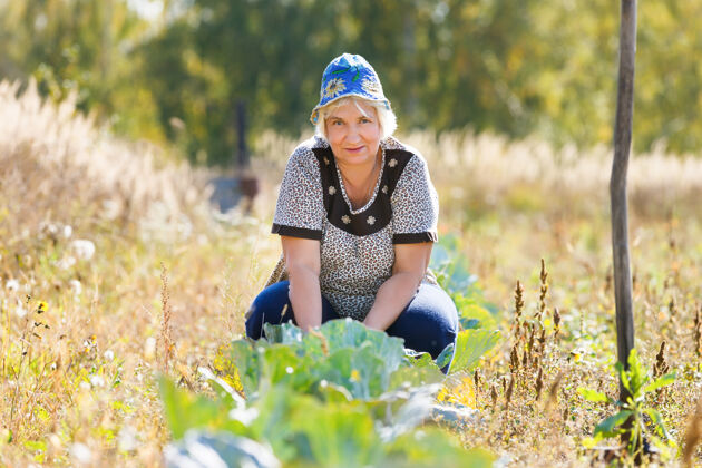农场在卷心菜床上的农妇成人一农业