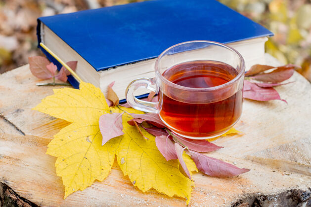 水果一杯茶 一本书和一片黄色的枫叶在树桩上的森林里在树林里看书和吃早餐休息学习季节