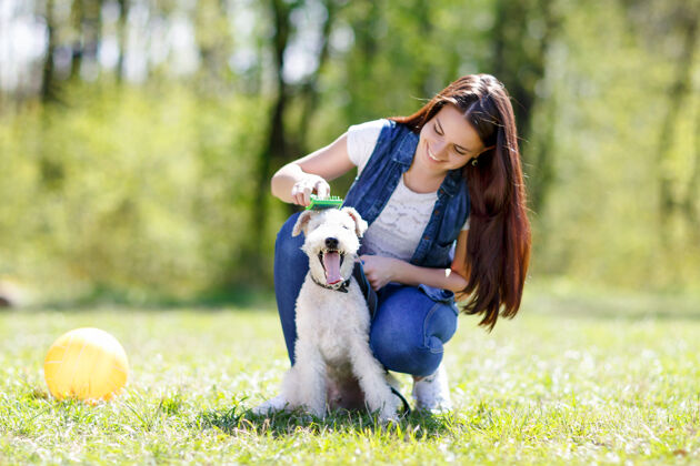 拥抱一个女孩在公园户外梳理她的狗的画像训练关系女孩