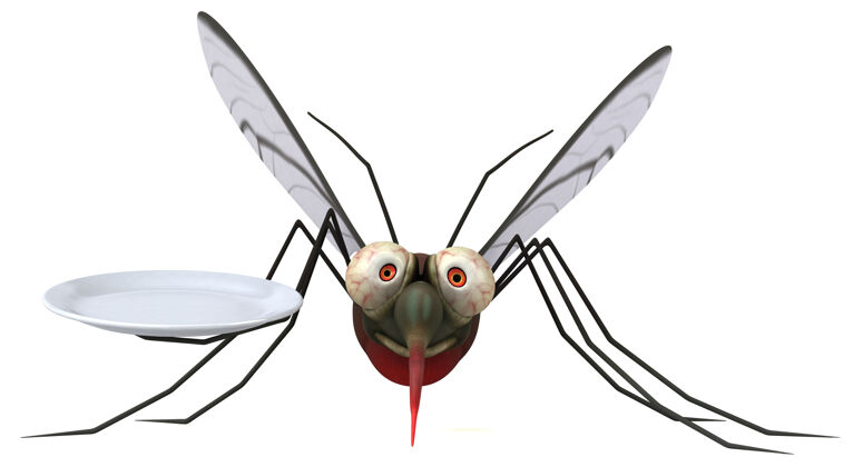人物蚊子-三维插图动物禁食传播