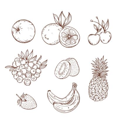 收藏雕刻手绘水果收藏葡萄菠萝手绘