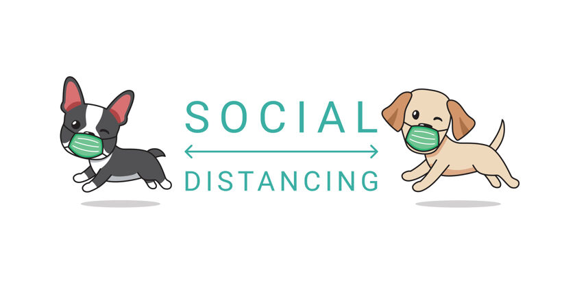 人物概念卡通人物波士顿梗和拉布拉多猎犬戴着防护面罩社会距离动物哺乳动物寻回犬