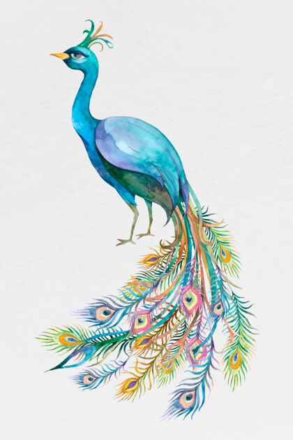 动物美丽的水彩蓝孔雀热带水彩孔雀
