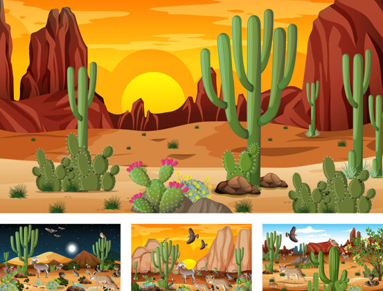 沙漠四种不同的沙漠森林景观与动植物场景辉光白天日落