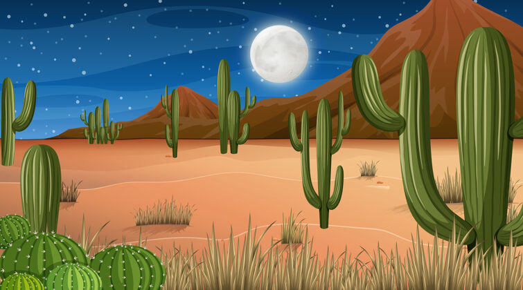 草沙漠森林景观 夜景中有许多仙人掌沙子岩石鹅卵石